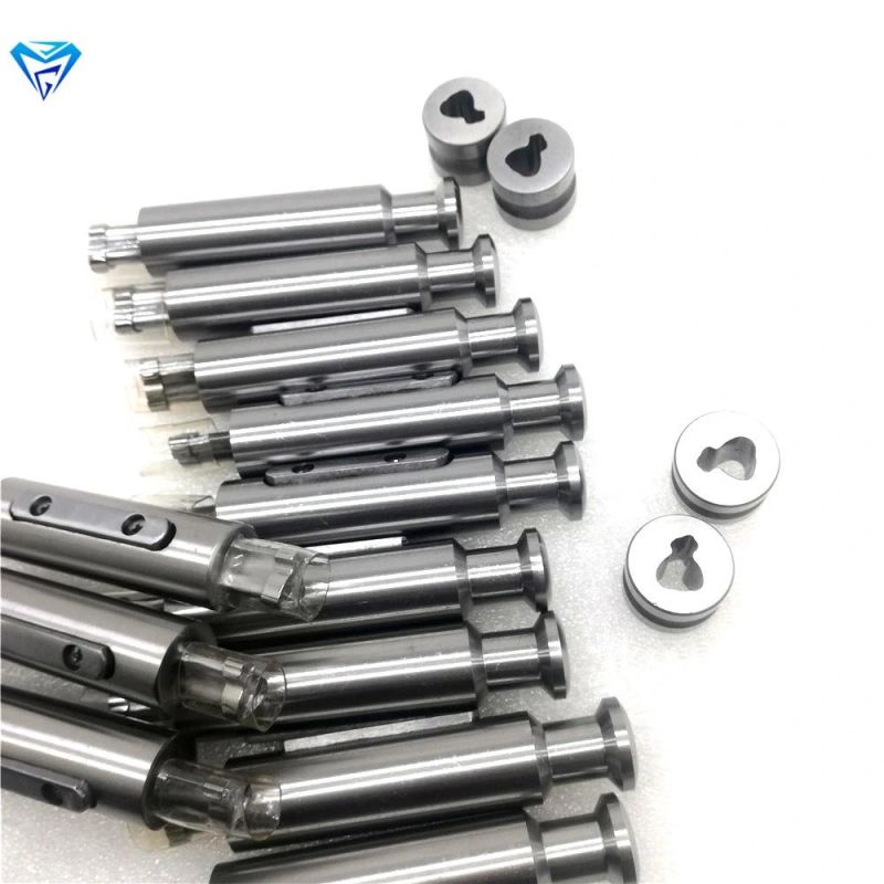 OEM Cylinder Shaped Pill Mould