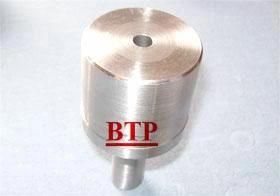 Tungsten Carbide Punch (BTP-P114)