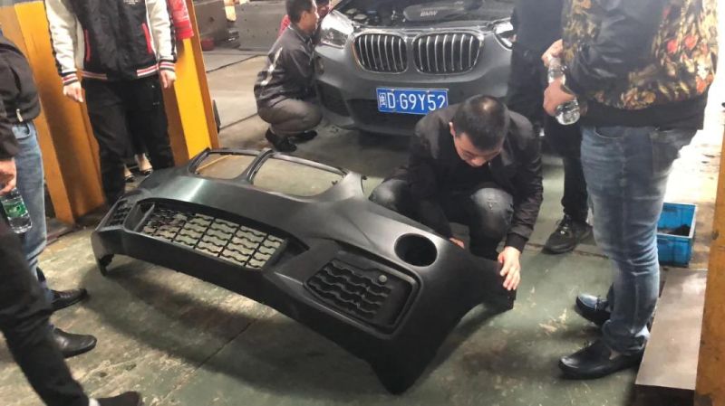 Plastic Auto Bumper Mold Manufacture for Carola