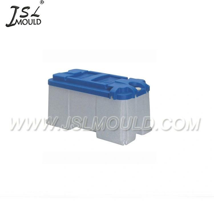 Injection Plastic Auto Car Battery Storage Box Mould