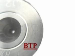 Carbide Tungsten Cold Heading Punchb Die (BTP-P127)
