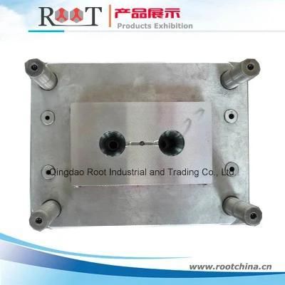 China High Precision Plastic Injection Mold for Tool Part Rtpm2015011
