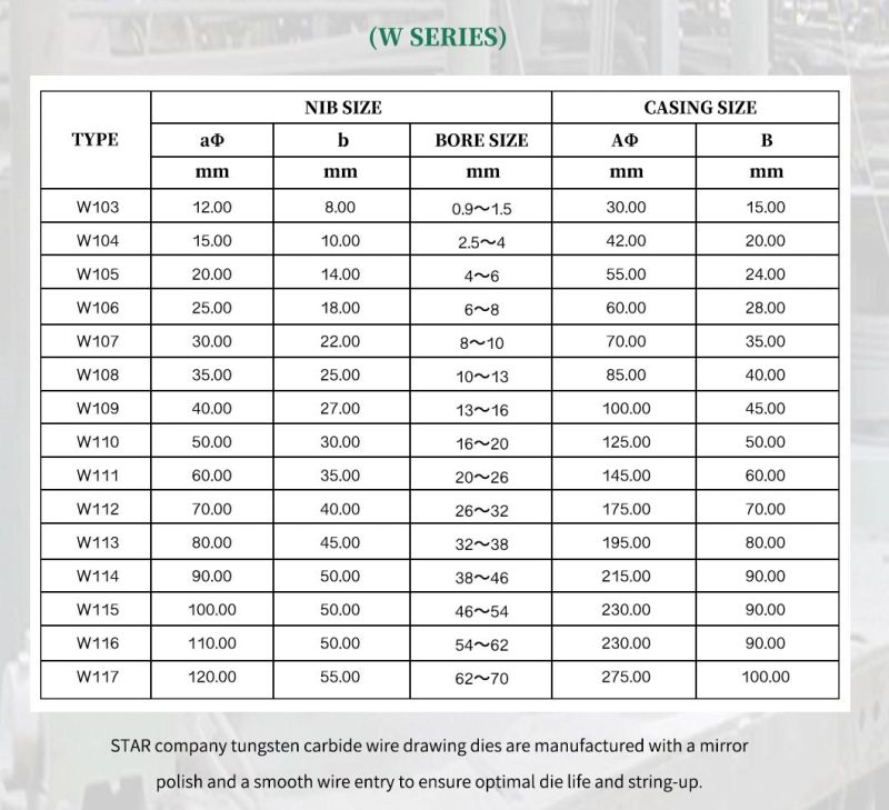 Excellent Performance Cemented Tungsten Carbide Wire Drawing Dies Made in China