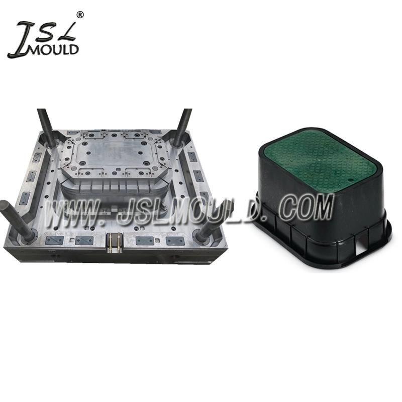 Professional Manufacture Quality Plastic Water Valve Box Mould