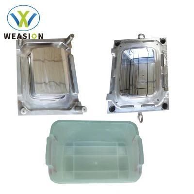 2020 Multifunctional Borosilicate Plastic Food Container with Plastic Bento Boxes Mould