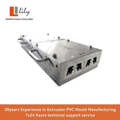 Factory Direct Extrusion Mould for PVC Plastic Profile Mould