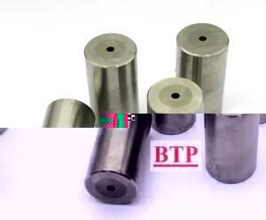 High Quality Carbide Cold Forming Punch (BTP-P068)
