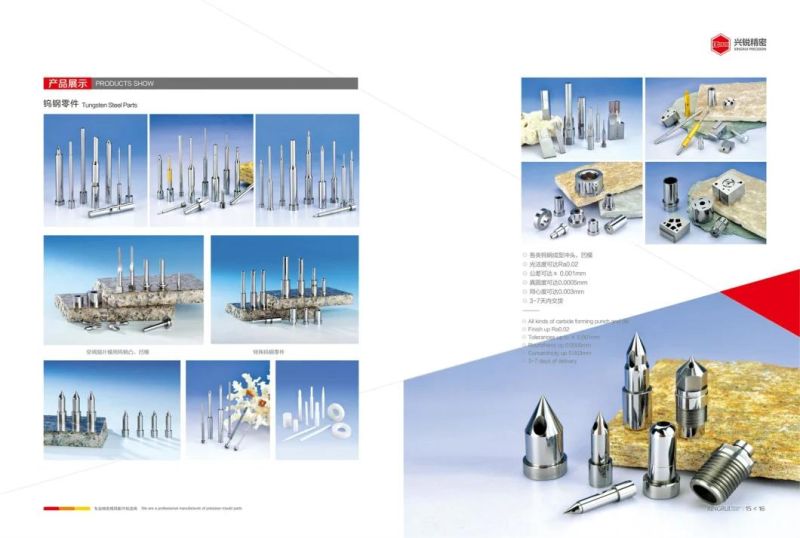 Different Type Tungsten Carbide Pin Carbide Punch