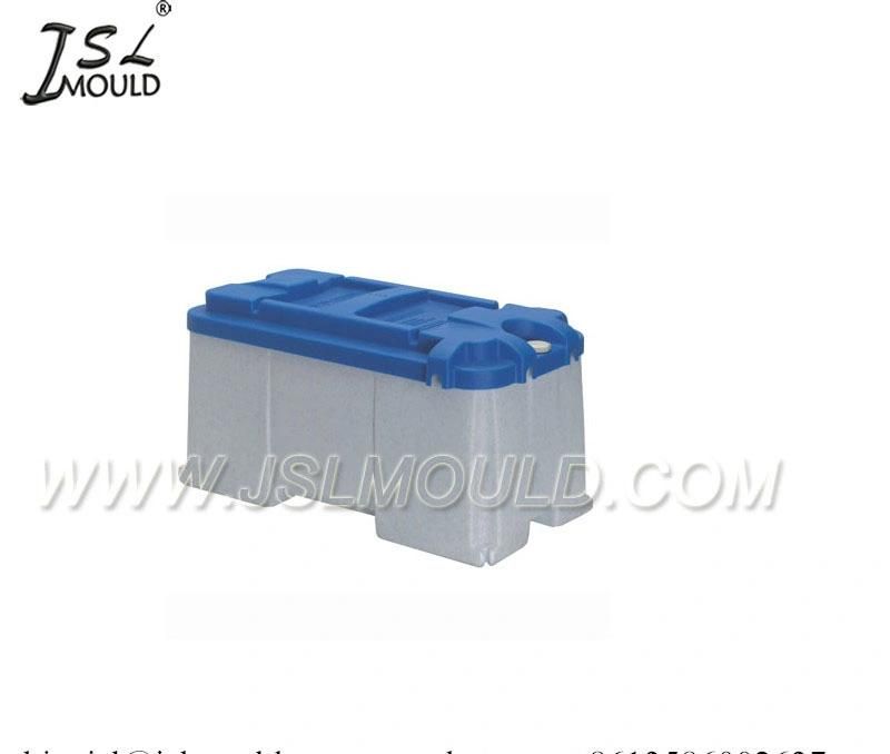 Injection Plastic Mould for Car Battery Cover