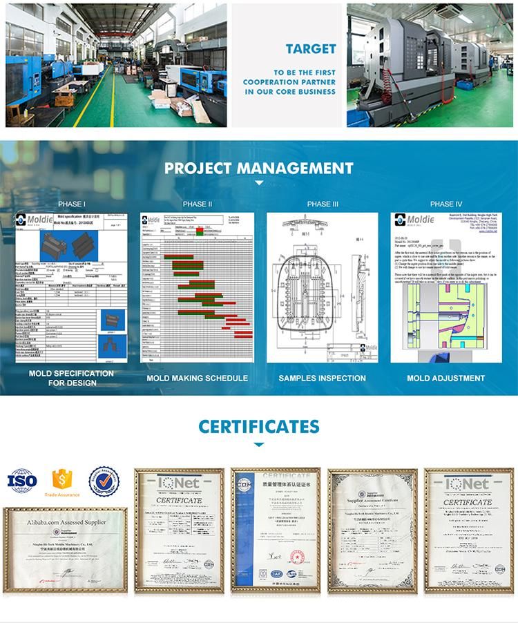 Customized/Designing Precision Plastic Injection Auto Parts Moulds