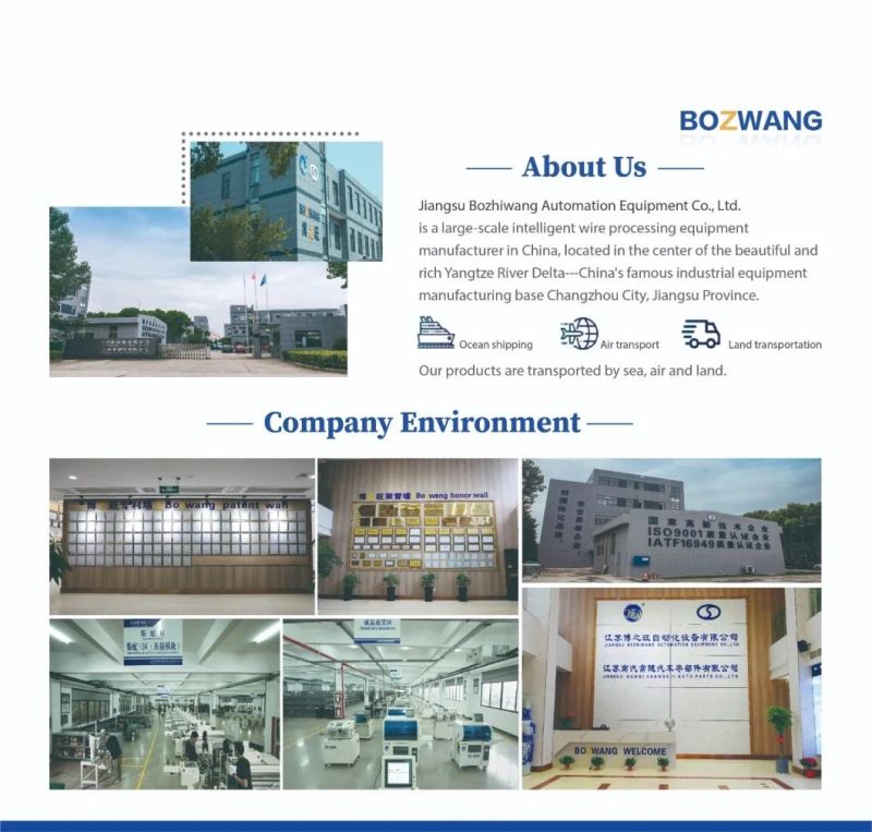 Bozwangflag Shape Applicator 2000 Model