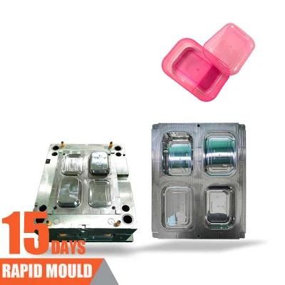 Plastic Mould Injection Molding Mold Maker High Precision Prototype