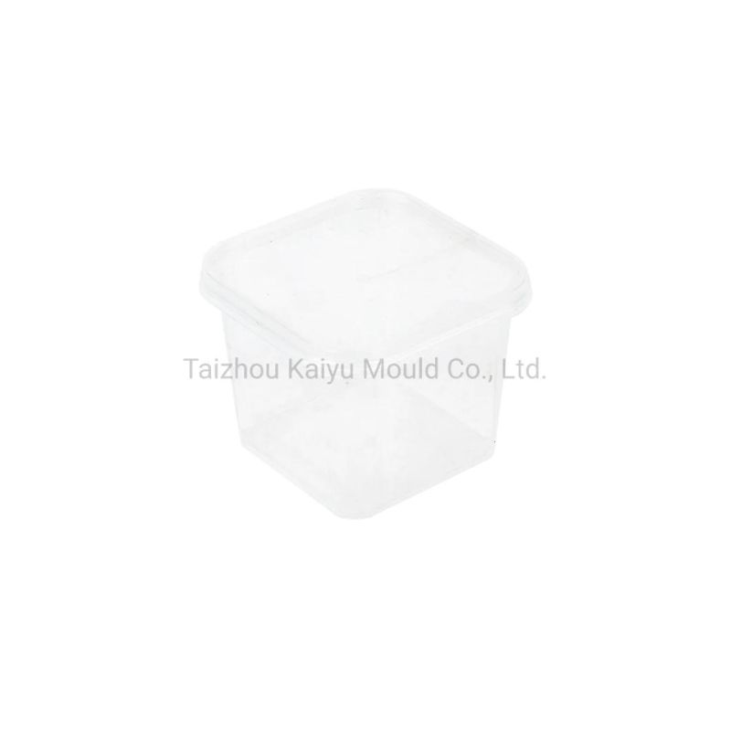 Thin Wall Box Mould Thin Wall Square Container Injection Mold