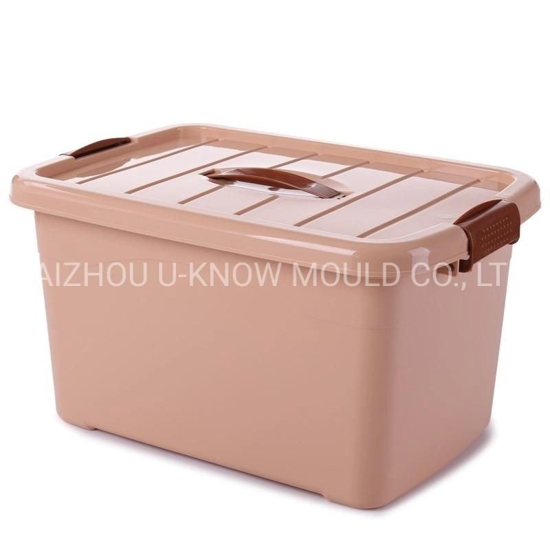 China Supplier Quality Plastic Injection Mold Organizer Storage Box Mould