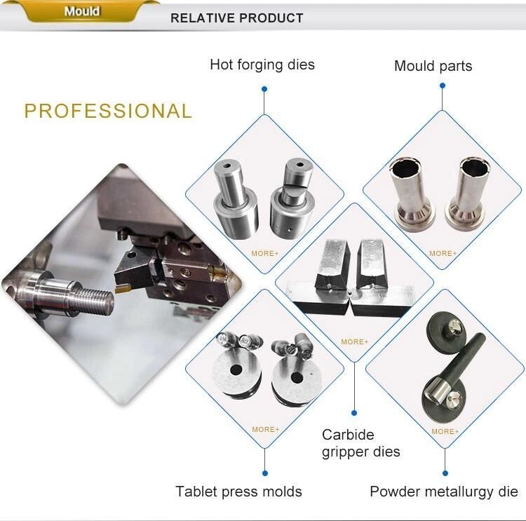 in Stock Tablet Press Stamp Punch and Die Mold Sets Cloud Zp10 Zp12 Zp9 Die