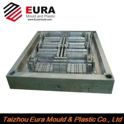 Chinese Injection Molding Tray Molding Plastic Mould