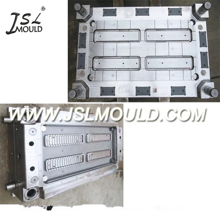 Plastic Injection Shelf Mould