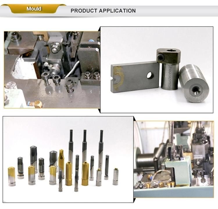 Custom Design Mold for Tdp0