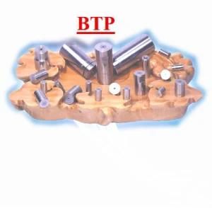 All Kinds of Carbide Cold Forging Hardware Mould (BTP-D369)