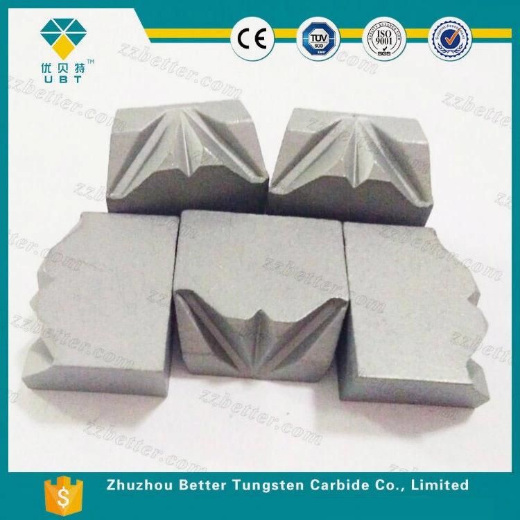 Tungsten Carbide Nail Mould