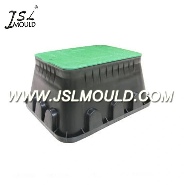 High Quality Plastic Injection Valve Box Mould
