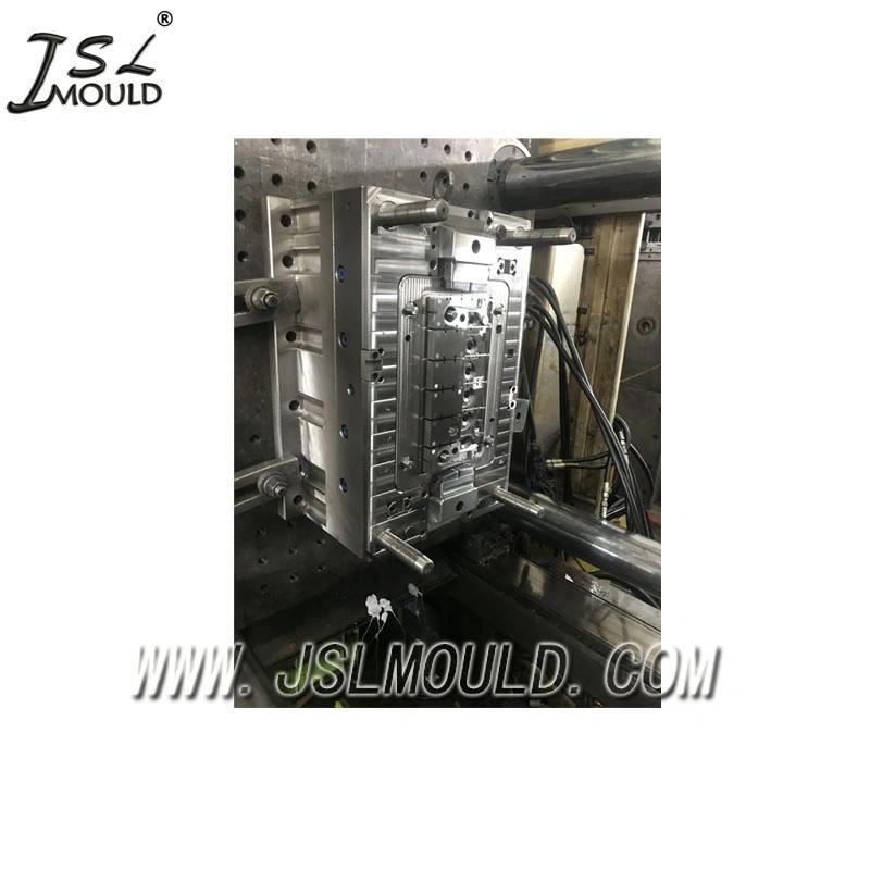 Taizhou Experienced Making Plastic Auto Battery Container Mould