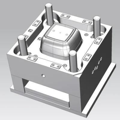 Plastic Injection Kitchen School Student Food Lunch Fruit Container Box Template Mould