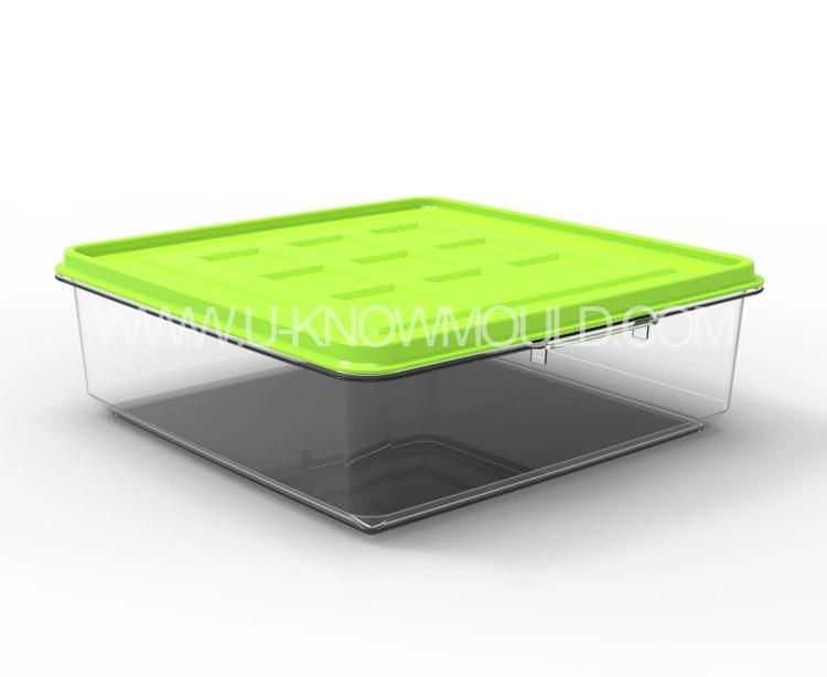 Plastic Portable Environmental Protection Lunch Box Mold/Plastic Food Container Mould