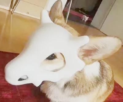 Wholesaler of Newly-Designed Animal Mask/3D Prototype Animal Mask