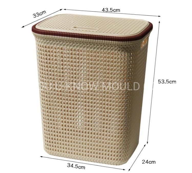 Plastic Injection Mould for Landury Basket Mold