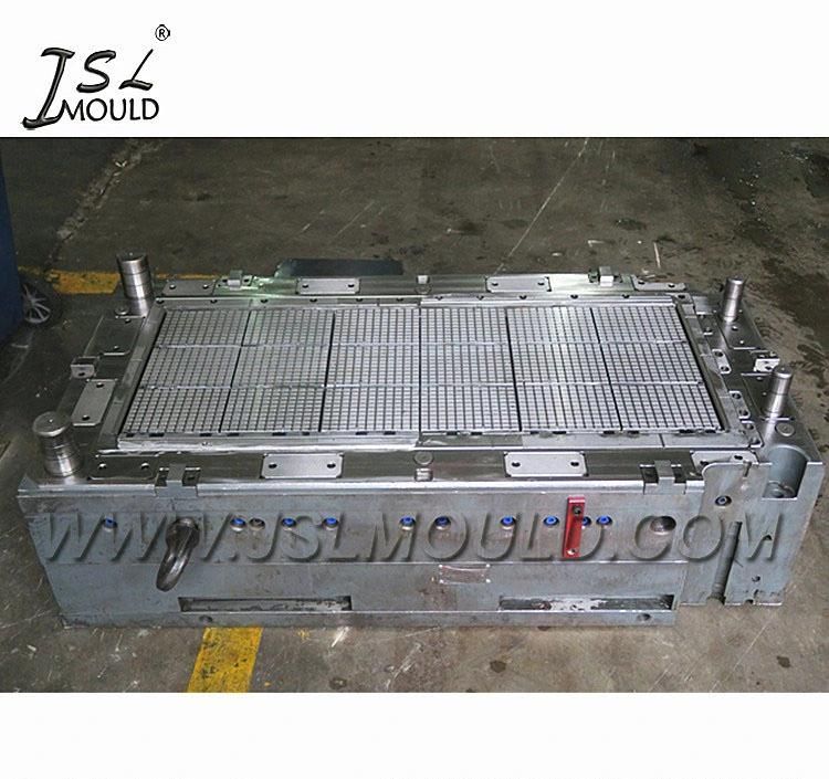 Customized Injection Plastic Poultry Slat Boiler Floor Mould