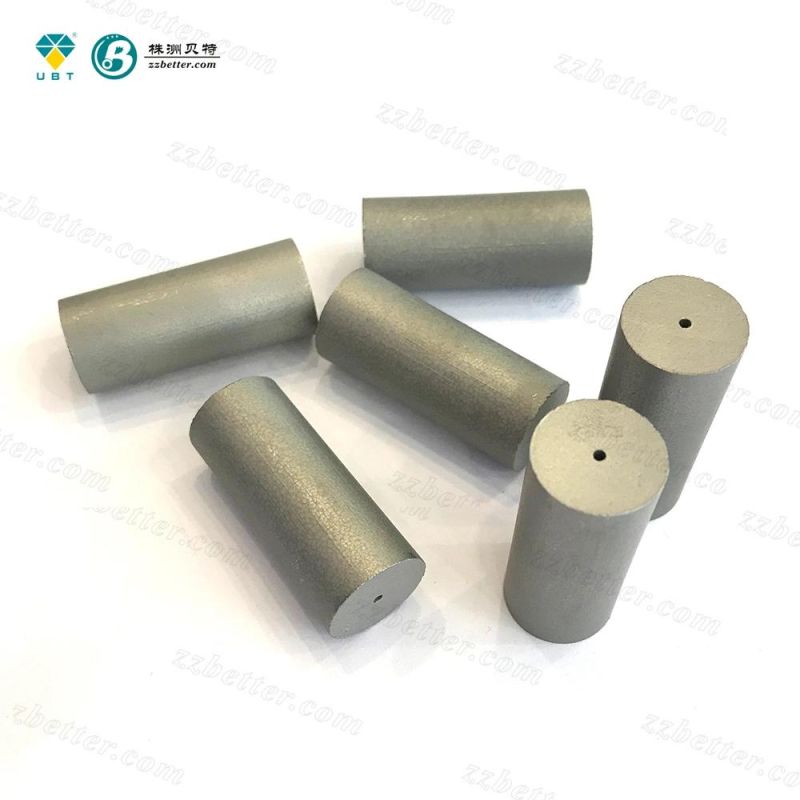 Tungsten Carbide Cold Heading Die for Punching Mould Tool Parts