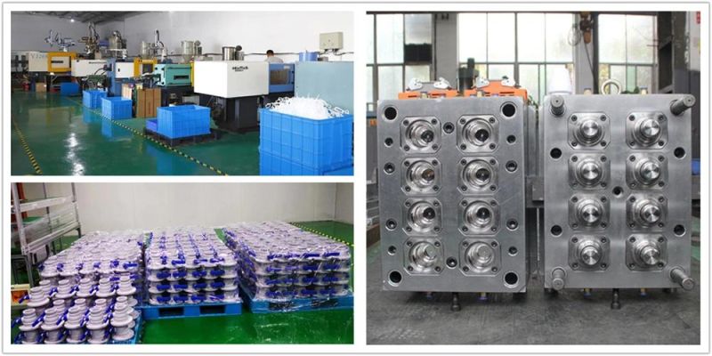 Plastic Mould Indstry Parts Injection Mold Factory