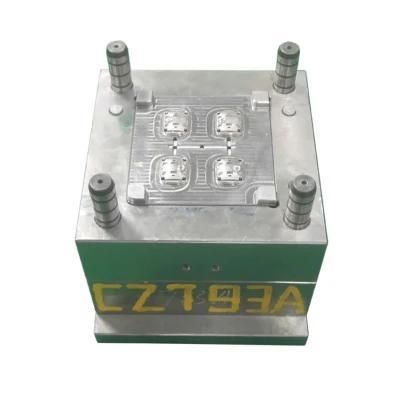 OEM Plastic Injection Manufacturer Mold for ABS Material Watch Housing