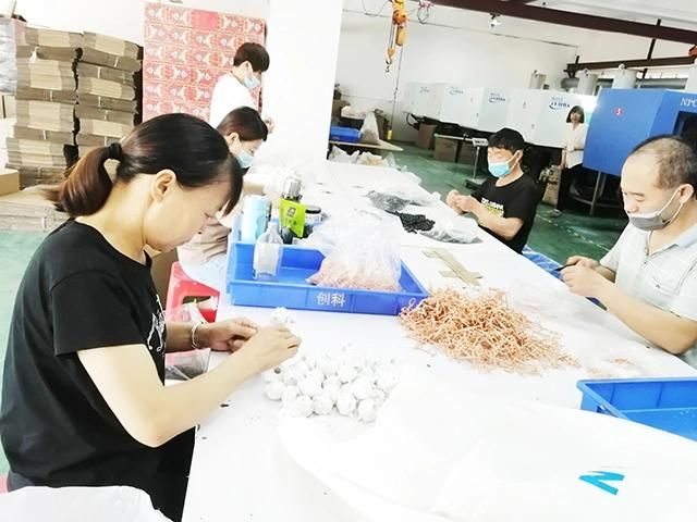 OEM China Plastic Injection Mould