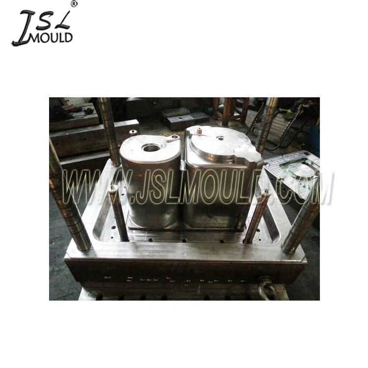 Plastic Injection Twin Tub Washing Machine Mould
