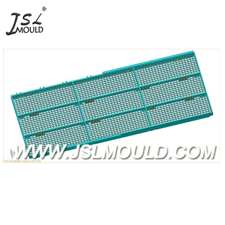 Taizhou Mold Factory Quality Injection Plastic Broiler Chicken Plastic Slat Floor Mould