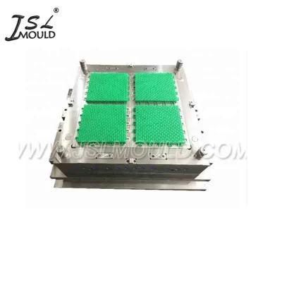 China Professional Quality Plastic Interlocking Floor Tile Mould
