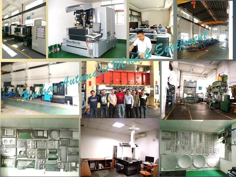 High Quality Low Cost Progressive Die for Metal Stamping Auto Parts Mold