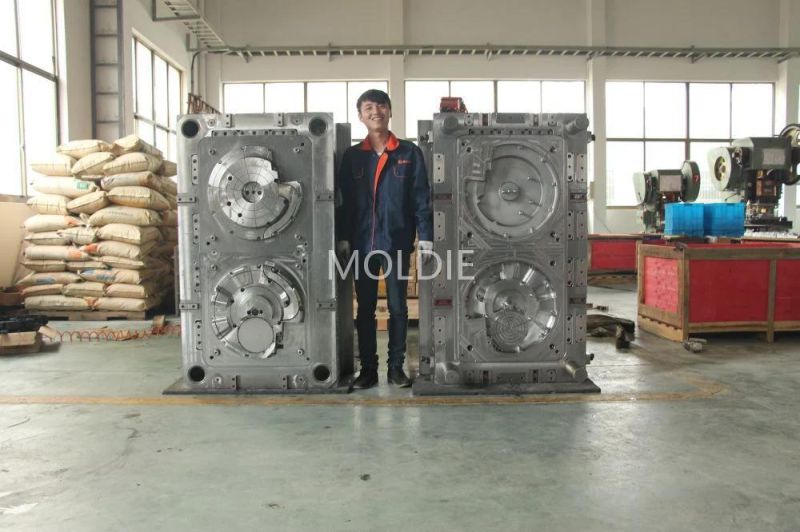 Customized/Designing Plastic Injection Mould with Cover