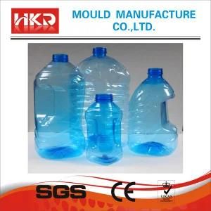 Pet Bottle Blowing Mould