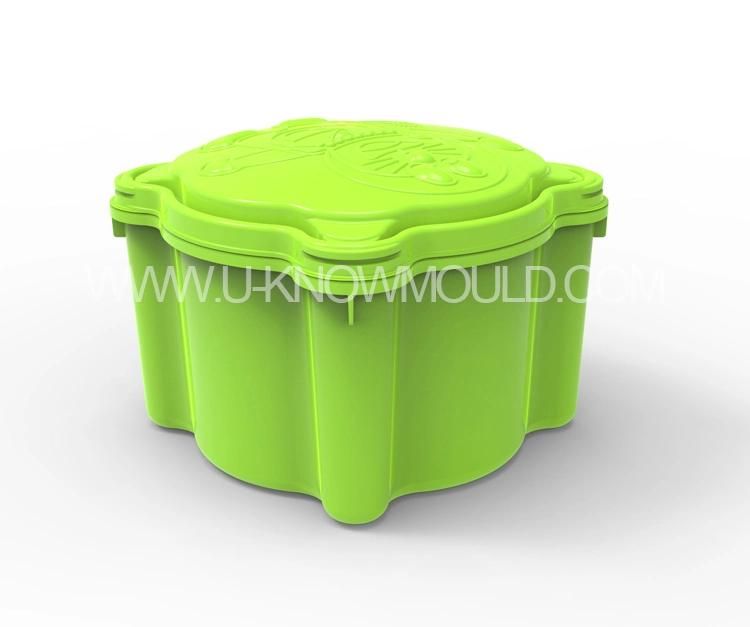 Plastic Portable Environmental Protection Lunch Box Mold/Plastic Food Container Mould
