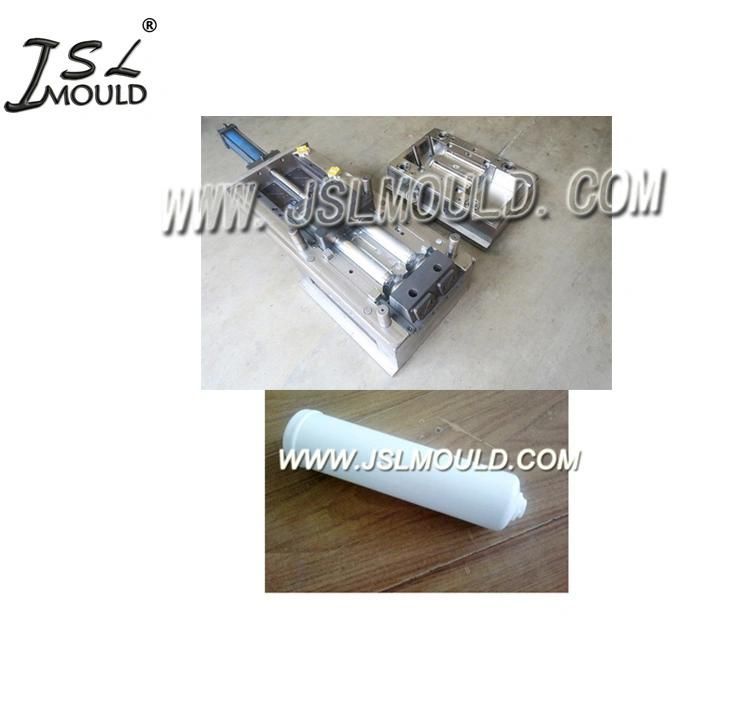 Experienced High Standard Plastic Clear Water Filter Housing Mold