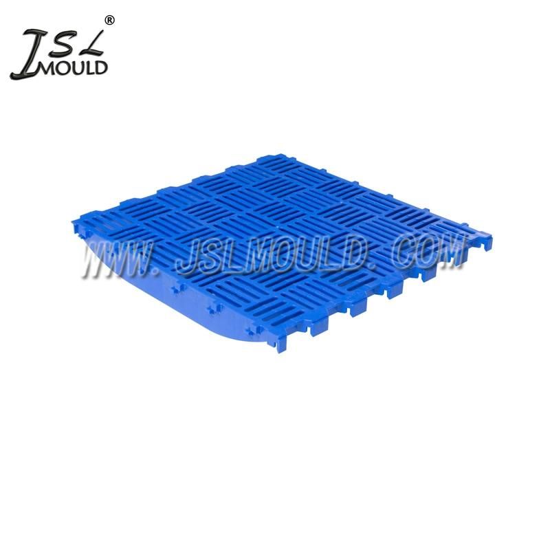 China Professional Quality Plastic Poultry Slatted Floor Mould