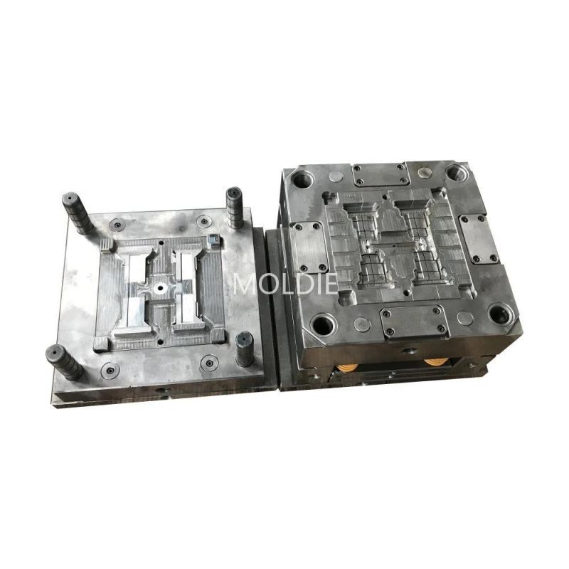 Customized/Designing Plastic Pet Preform Parts Injection Mold