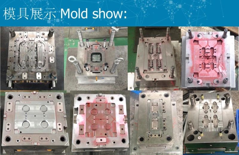 Customized Precision Plastic Injection Mold