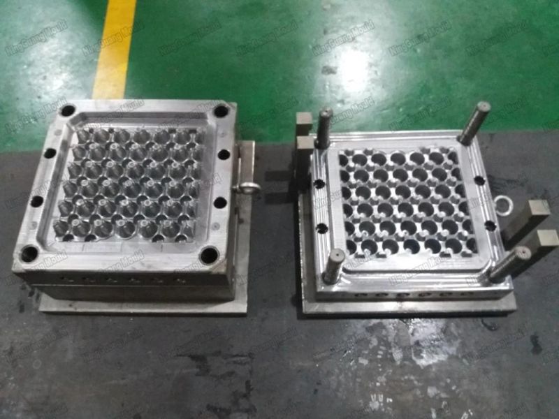 Plastic Injection Mold for Egg Plastic Trays