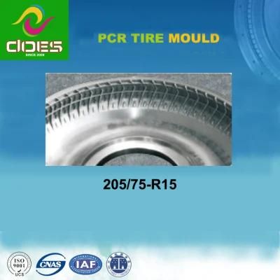 Tyre Mould for PCR Tubeless with 205/75-R15