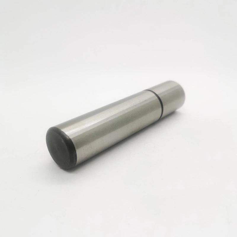 Sgpn Straight Rod Type Guide Post
