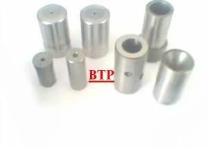 Cold Forging Fastener Tools Screw Mould and Punch (BTP-D394)